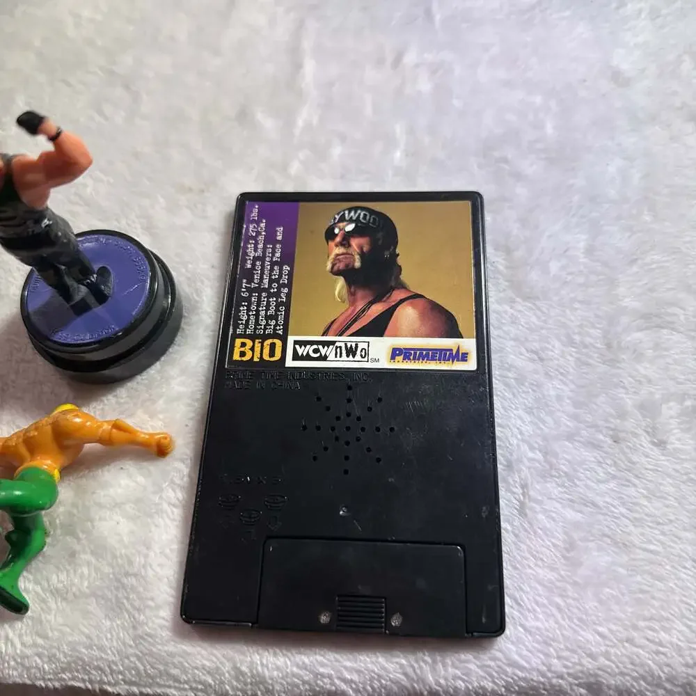 Vintage WWF WWE Hollywood Hulk Hogan NWO Talking Portrait Card